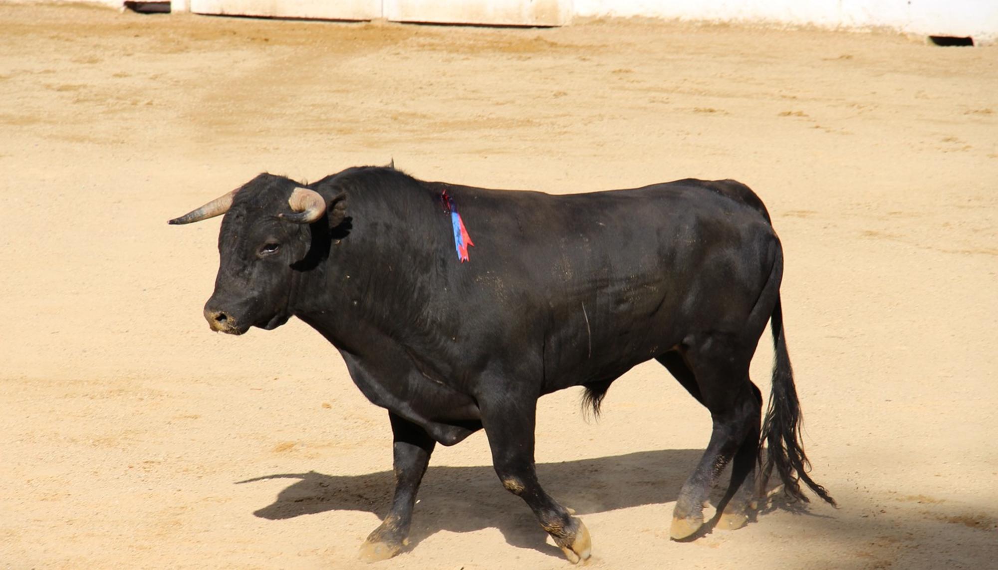 Subvenciones taurinas